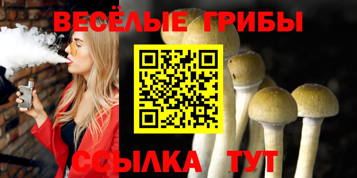 Нефтекумск  Псилоцибиновые грибы Cubensis  Вход с VPN  Галлюциногенные грибы Magic Shrooms 