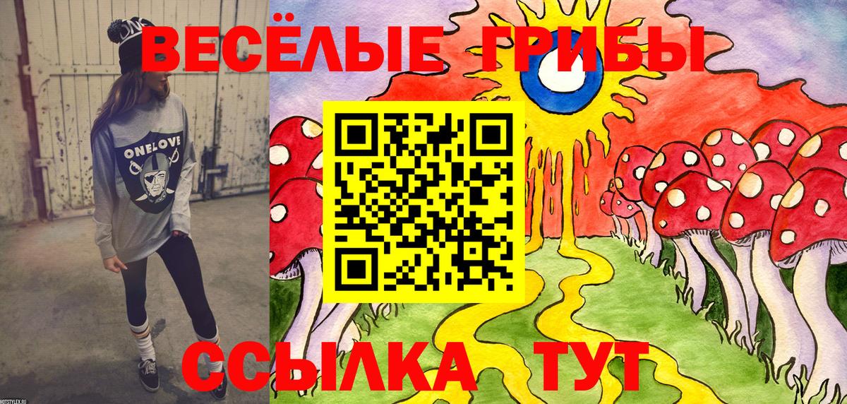 Псилоцибиновые грибы MAGIC MUSHROOMS Нефтекумск