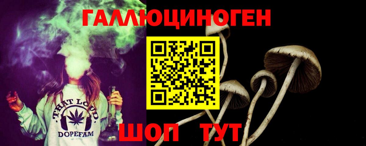 ГАШ Нефтекумск